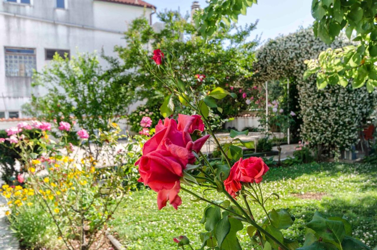 Apartments Zanze Водице Экстерьер фото